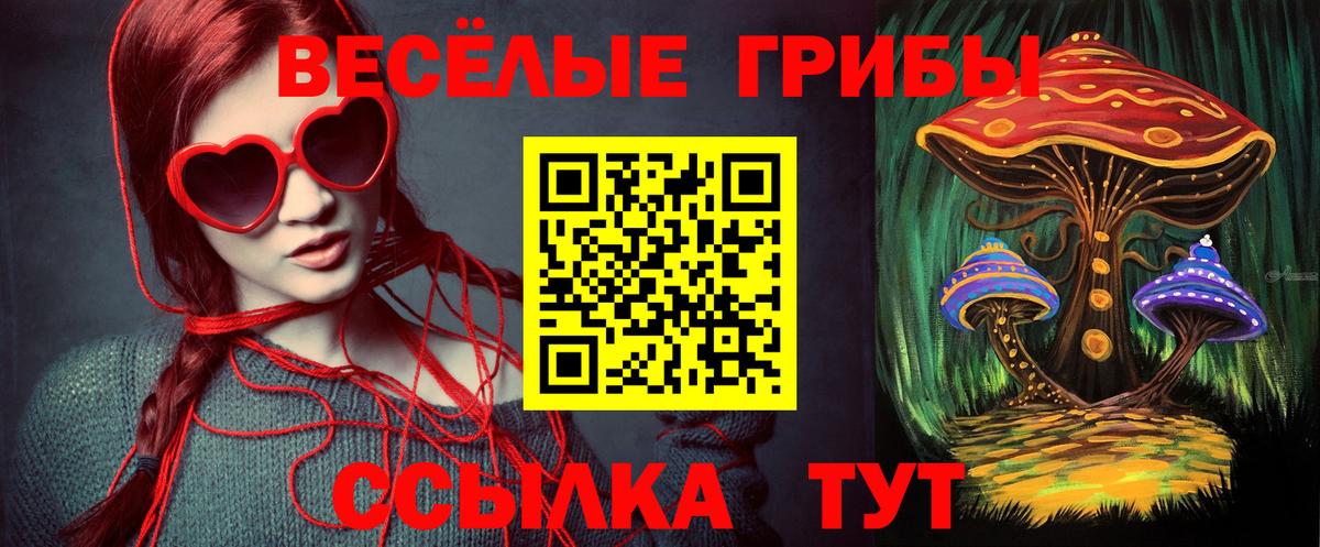купить наркоту  Вход с VPN  Карталы  Галлюциногенные грибы Psilocybine cubensis 