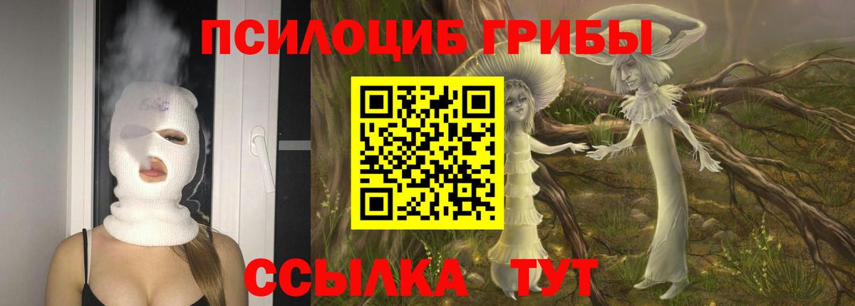 Псилоцибиновые грибы Psilocybine cubensis Карталы